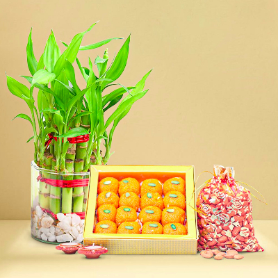 Amazing  Diwali Combo