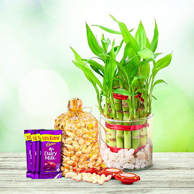 Festive Treats Combo