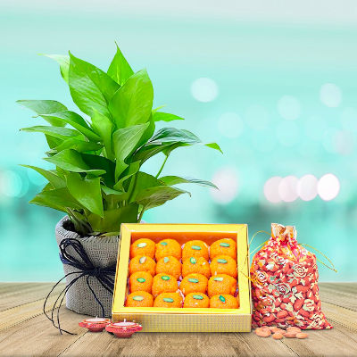 Exclusive Sweet Hamper