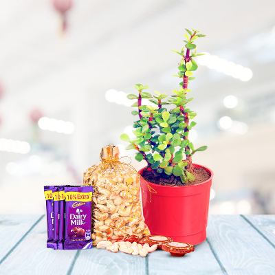 Stunning Diwali combo