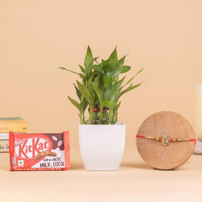 Two Layer Bamboo Plant With Chocolate And Rakhi