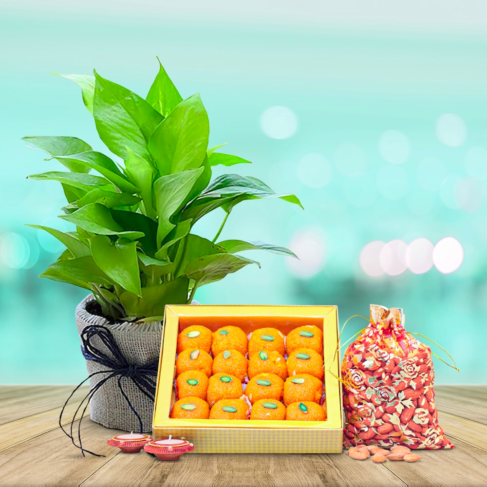  Exclusive Sweet Hamper